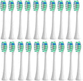16Pcs Replacement Toothbrush Head BrushCompatible for Care C2(16pcs Green)