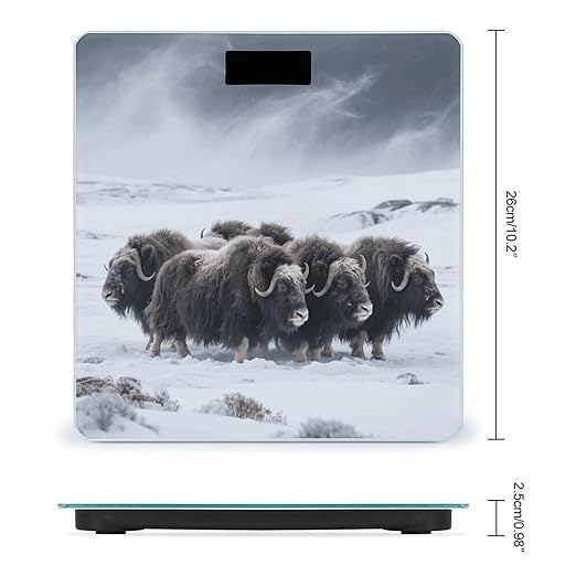 Musk Ox in The Snow Weight Scale Large Digital Bathroom Scales with Bright LED Display Non Slip Digital Scale and Step On Fashion Weighing Machine for Body