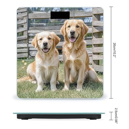 Digital Bathroom Scale for Body Weight Scale with Bright LCD Display High Accuracy Step-On Technology Auto On/Off Golden Retriever Dogs Puppies Pets Digital Scales 400 Lbs /180kg
