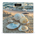Sleep on Shells Scale for Body Weight Digital Bathroom Scale Toughened Glass High Precision Scales for Body Weight with Large LCD Backlight Display Weight Scales