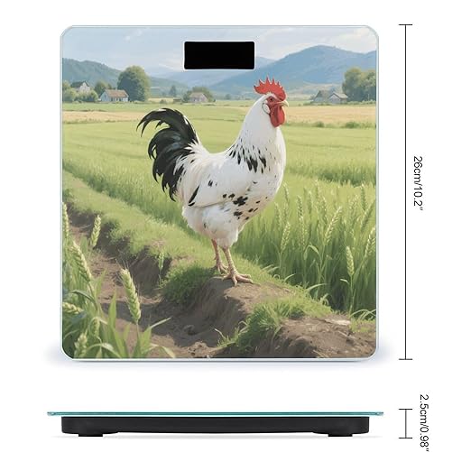 Digital Bathroom Scale for Body Weight Scale with Bright LCD Display High Accuracy Step-On Technology Auto On/Off Chicken Digital Scales 400 Lbs /180kg