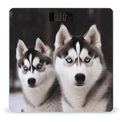 Husky DogScale for Body Weight with LCD High Precision Weighing Scales Fashion Sturdy Tempered Glass Weight Scales Easy-to-Read Digital Bathroom Scale for Daily 400lb