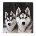 Husky DogScale for Body Weight with LCD High Precision Weighing Scales Fashion Sturdy Tempered Glass Weight Scales Easy-to-Read Digital Bathroom Scale for Daily 400lb