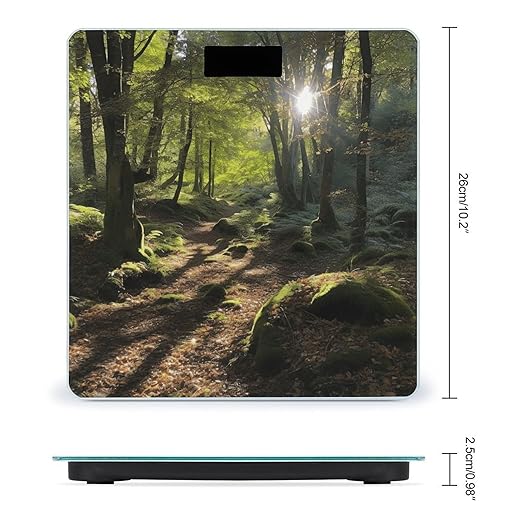 Sunshine in The Woods Scale for Body Weight Accurate Digital Bathroom Scale Toughened Glass High Precision Scales Smart Weight Scales with Large LCD Backlight Display Weighing Machine