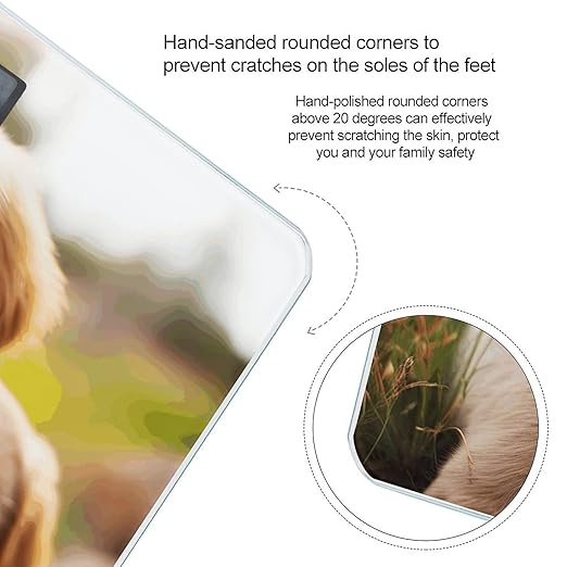 Cute Golden Retriever Puppy Bathroom Scale Large LCD Backlight Display Digital Scale Rounded Corners Body Scales Automatic Power On/Off Bathroom Scales for Home Bedrooms