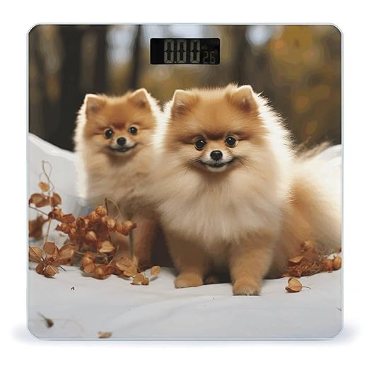 Cute Pomeranian Scale for Body Weight Digital Bathroom Scale Accurate Smart Weight Scales with Large Display Weighing Machine High Precision Scales