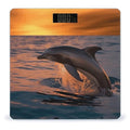 Dusk Dolphin Scale for Body Weight Sturdy Tempered Glass Weighing Scales with LCD Display Accurate Digital Bathroom Scale Convenient Body Fat Smart Scales 400lb
