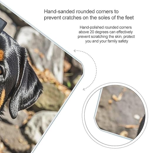 Rottweiler Dogs Tongue Head Bathroom Scale for Body Weight Bathroom Weighing Scales with Back Lit LED Display Sturdy Tempered Glass Body Weight Bathroom Scale 400lb Weighing