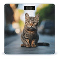 Brown Tabby Kitten Bathroom Scale for Body Weight Bathroom Weighing Scale with Backlit LCD Display Highly Accurate Measures Weight Up to 180kg