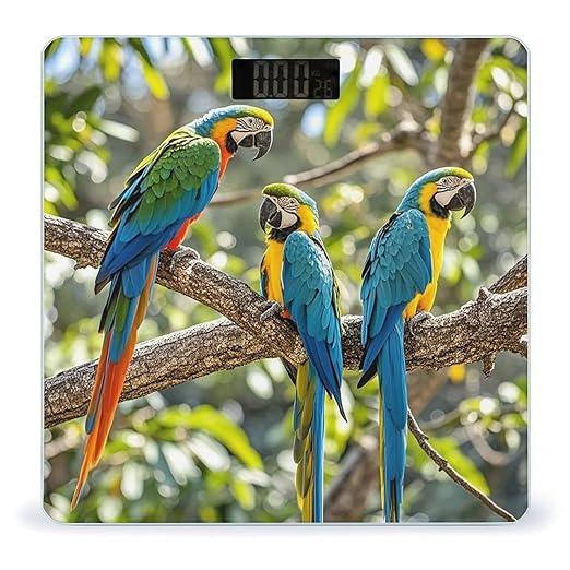 Colorful Parrots On Tree Scale for Body Weight Digital Bathroom Scale Toughened Glass High Precision Scales for Body Weight with Large LCD Backlight Display Weight Scales