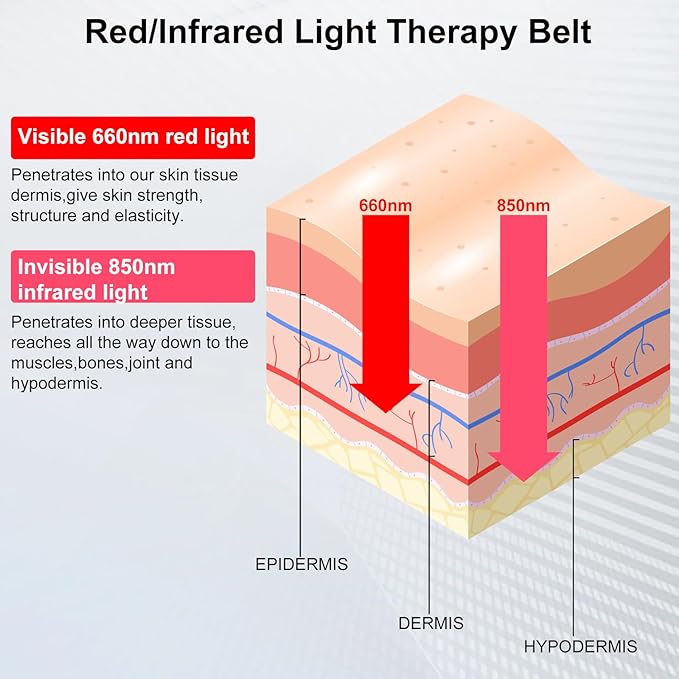Zupora Red Light Therapy Belt for Pain ReliefCordless Heating Vibration Massage Belt for Back Abdomen USB Rechargeable Wearable Device for Muscle Relaxation