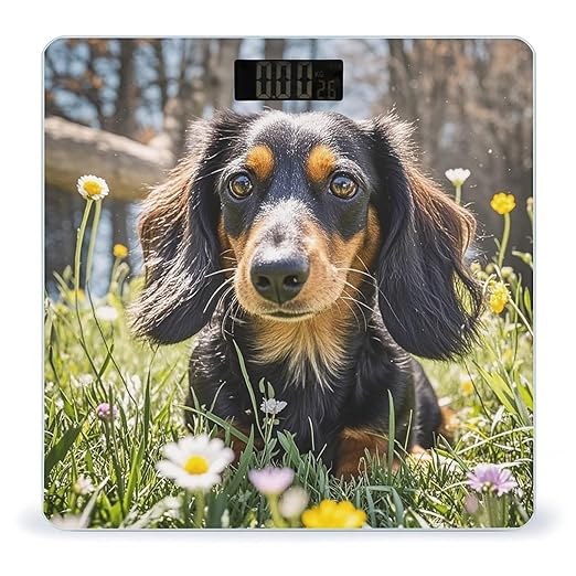 Cute Dachshund Scale for Body Weight Smart Scales Digital Bathroom Scale High Precision Weighing Scales with Large Display Weighing Machine for People