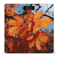 Fall Maple Leafs Digital Bathroom Scale for Body Weight Weighing Scale with Backlit LCD Display High Precision Measurements &amp Measures Weight Up to 180kg