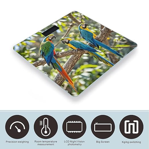 Colorful Parrots On Tree Scale for Body Weight Digital Bathroom Scale Toughened Glass High Precision Scales for Body Weight with Large LCD Backlight Display Weight Scales
