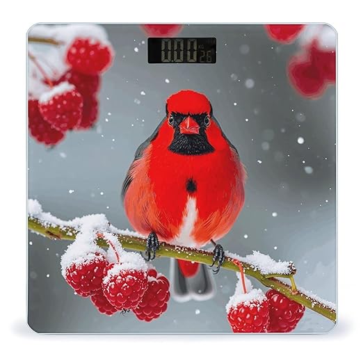 Cardinal Birds Snow Cranberries. Bathroom Scale Ultra-Bright Liquid Crystal Screen Weight Scale Accurate Bathroom Body Scales for Body Weight Bathroom Pet Home Bedroom Gift-Giving