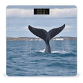 Whale Tail Scale with LCD Precision Weighing Scales Sturdy Tempered Glass Weight Scales Easy-to-Read Anti-Slip Weight Digital Bathroom Scale for Daily