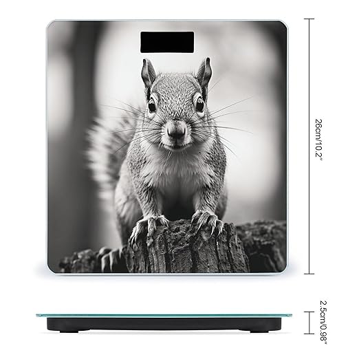 Light Gray Squirrel Bathroom Scale for Body Weight LCD Display Digital Bathroom Scale Tempered Glass Bathroom Weight Scales Fashion Smart Scales for Home Bedroom 400 Lb