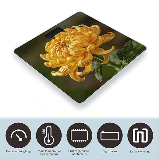 Golden Chrysanthemum Smart Scale for Body Weight Digital Bathroom Scale Toughened Glass Weight Scale with Large LCD Backlight Display High Precision Scales Weighing Machine