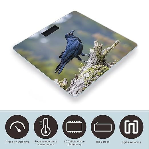 Black Crow Birds Bathroom Scale for Body Weight with High Precision Large LCD Backlight Display Digital Weighing Scale with BMI Capacity Up to 180kg