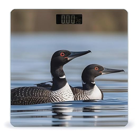 Loon Birds Smart Scale for Body Weight Accurate Bathroom Scale with LED Display Digital Weight Scales Weighing Machine High Precision Scales for Bath Home