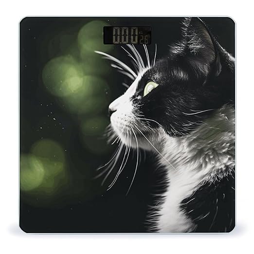 Digital Bathroom Scale for Body Weight Scale with Bright LCD Display High Accuracy Step-On Technology Auto On/Off A Black and White Cat Digital Scales 400 Lbs /180kg