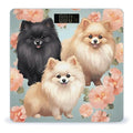 Pomeranians Pattern Bathroom Scale Large LCD Backlight Display Digital Scale Rounded Corners Body Scales Automatic Power On/Off Bathroom Scales for Home Bedrooms