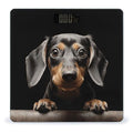 Pad Dachshund Digital Bathroom Scale for Body Weight Weighing Scale with Backlit LCD Display High Precision Measurements &amp Measures Weight Up to 180kg