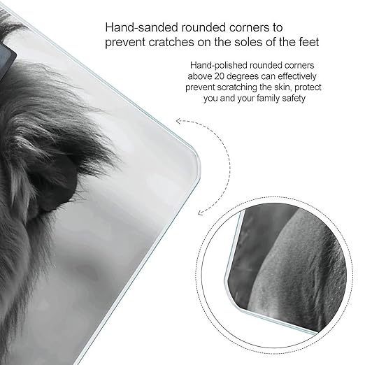 African Lion Black and White Scale for Body Weight Safe Rounded Corners Tempered Glass Digital Bathroom Scale LED Display 400lb Capacity Weight Scales with High Precision Sensors