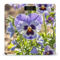 Pansy Perfection Scale for Body Weight Accurate Digital Bathroom Scale Toughened Glass High Precision Scales Smart Weight Scales with Large LCD Backlight Display Weighing Machine