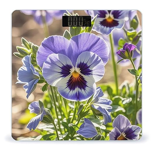 Pansy Perfection Scale for Body Weight Accurate Digital Bathroom Scale Toughened Glass High Precision Scales Smart Weight Scales with Large LCD Backlight Display Weighing Machine