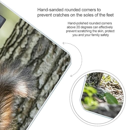 Squirrel in The Woods Scale for Body Weight Smart Scales Digital Bathroom Scale High Precision Weighing Scales with Large Display Weighing Machine for People