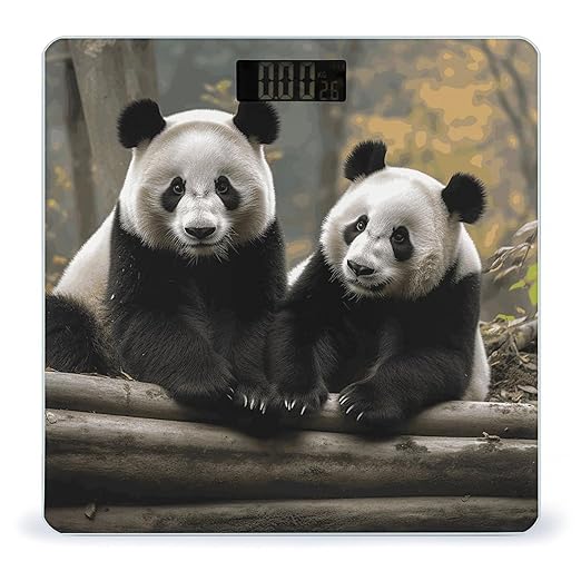 Two Big Pandas Bathroom Scale Automatic Power On/Off Body Scales LCD Backlight Display Square Digital Scale Rounded Corners Bathroom Scales for Home Bedrooms