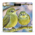 Cute Kiwi Birds Weight Scale Large Digital Bathroom Scales with Bright LED Display Non Slip Digital Scale and Step On Fashion Weighing Machine for Body