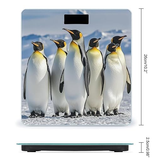 Five Penguins Bathroom Scale Digital Weight Scale Precision 400 Lbs Weighing Scales Large with LCD Backlight Display BMI Measures