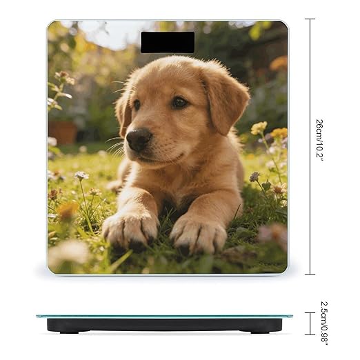 Home Garden Puppy Paws Weight ScaleClear LED Display Bathroom Digital Weighing ScaleTempered Glass Digital Bathroom Scale for Body Weight Capacity Up to 400 Lbs