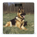 German Shepherd Dog Weight Scale for Body Weight Digital Bathroom Scale High Capacity Accurate Digital Weighing Scales and Easy-to-Read on Backlit LCD Display Scales