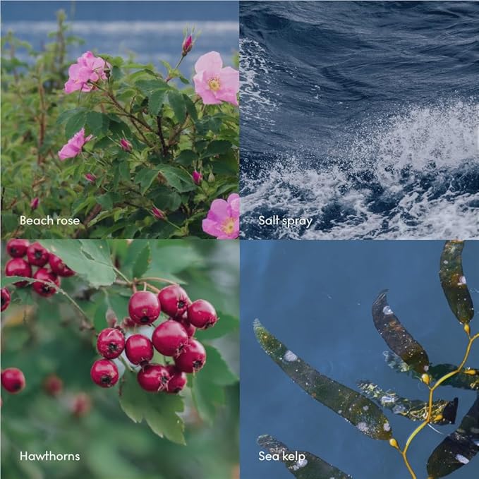 Skandinavisk Wash HAV ‘Sea’ Scent notes: Salt spray and sea kelp hawthorn and beach rose 16.91 fl. oz.
