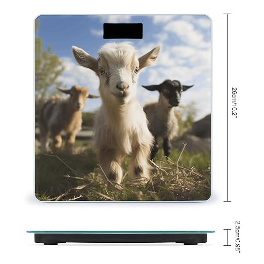 Cute Goat Png Bathroom Scale Large LCD Backlight Display Digital Scale Rounded Corners Body Scales Automatic Power On/Off Bathroom Scales for Home Bedrooms