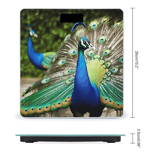 Beautiful Peacock Scale with LCD Precision Weighing Scales Sturdy Tempered Glass Weight Scales Easy-to-Read Anti-Slip Weight Digital Bathroom Scale for Daily