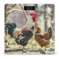 Rooster and Hen Scale for Body Weight Highly Accurate Digital Bathroom Body Scale Digital Bathroom Scales for People Anti-Slip Large LCD Display Smart Scales