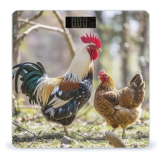 Rooster and Hen Scale for Body Weight Highly Accurate Digital Bathroom Body Scale Digital Bathroom Scales for People Anti-Slip Large LCD Display Smart Scales