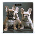 French Bulldog Puppies Scale with LCD Precision Weighing Scales Sturdy Tempered Glass Weight Scales Easy-to-Read Anti-Slip Weight Digital Bathroom Scale for Daily