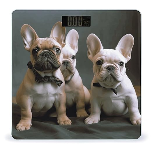 French Bulldog Puppies Scale with LCD Precision Weighing Scales Sturdy Tempered Glass Weight Scales Easy-to-Read Anti-Slip Weight Digital Bathroom Scale for Daily
