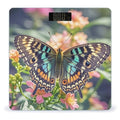 Butterfly Scale for Body Weight Highly Accurate Digital Bathroom Body Scale Digital Bathroom Scales for People Anti-Slip Large LCD Display Smart Scales