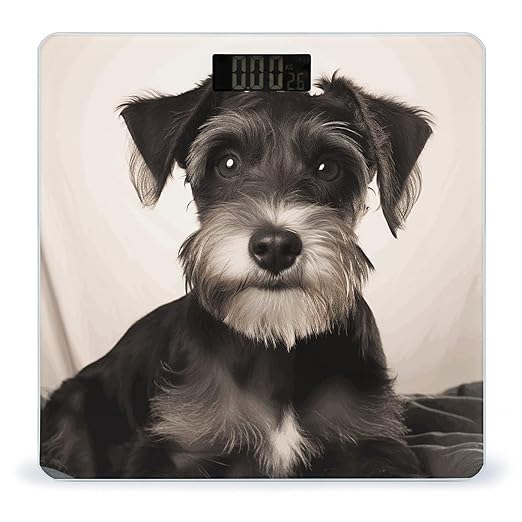 Cute Schnauzer Bathroom Scale for Body Weight Bathroom Digital Electronic Weighing Scale with Back Lit LED Display Sturdy Tempered Glass Weight Watchers Scales 400lb