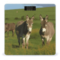 Donkey on Green Meadow Bathroom ScaleHighly Accurate Digital Weighing Machine for People Bright LED Display Weight Scale for The Aldult Home Use