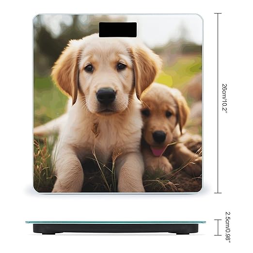 Cute Golden Retriever Puppy Bathroom Scale Large LCD Backlight Display Digital Scale Rounded Corners Body Scales Automatic Power On/Off Bathroom Scales for Home Bedrooms