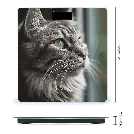 Gray Cat with Green Eyes Scale for Body Weight Sturdy Tempered Glass Weighing Scales with LCD Display Accurate Digital Bathroom Scale Convenient Body Fat Smart Scales 400lb