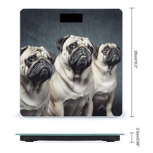 Funny Pug Dog Weight Scale for Body Weight Digital Bathroom Scale High Capacity Accurate Digital Weighing Scales and Easy-to-Read on Backlit LCD Display Scales