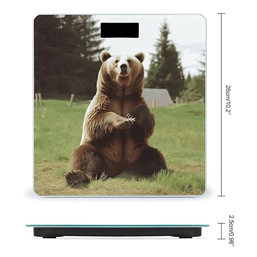 Hi Bear Sit on The Lawn Scale for Body Weight Sturdy Tempered Glass Weighing Scales with LCD Display Accurate Digital Bathroom Scale Convenient Body Fat Smart Scales 400lb